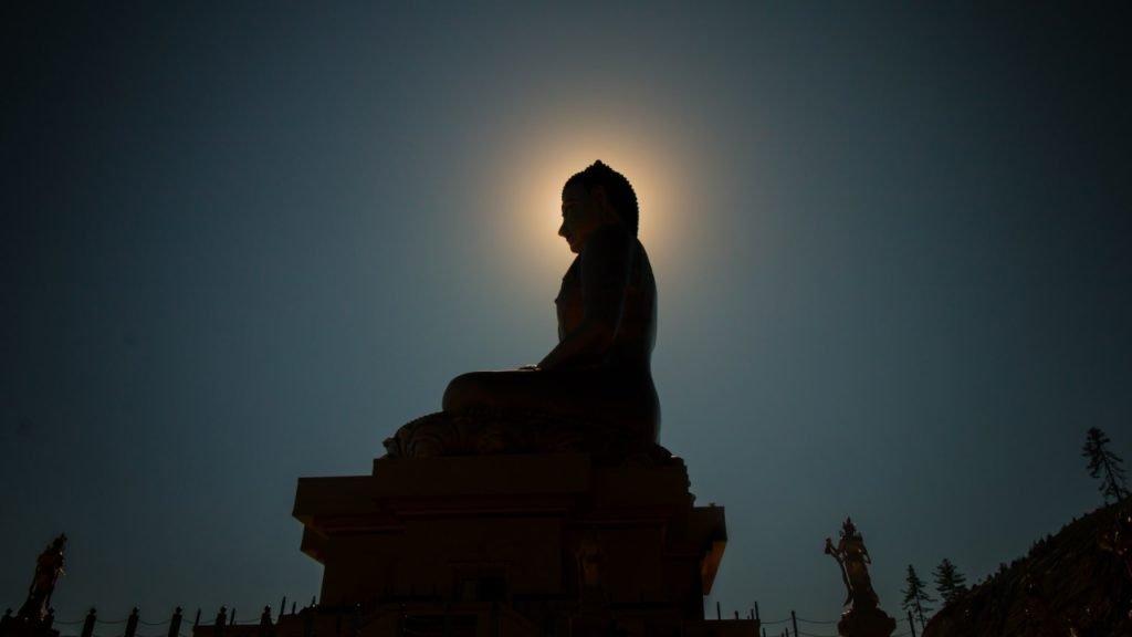 Alcohol Affects the Brain