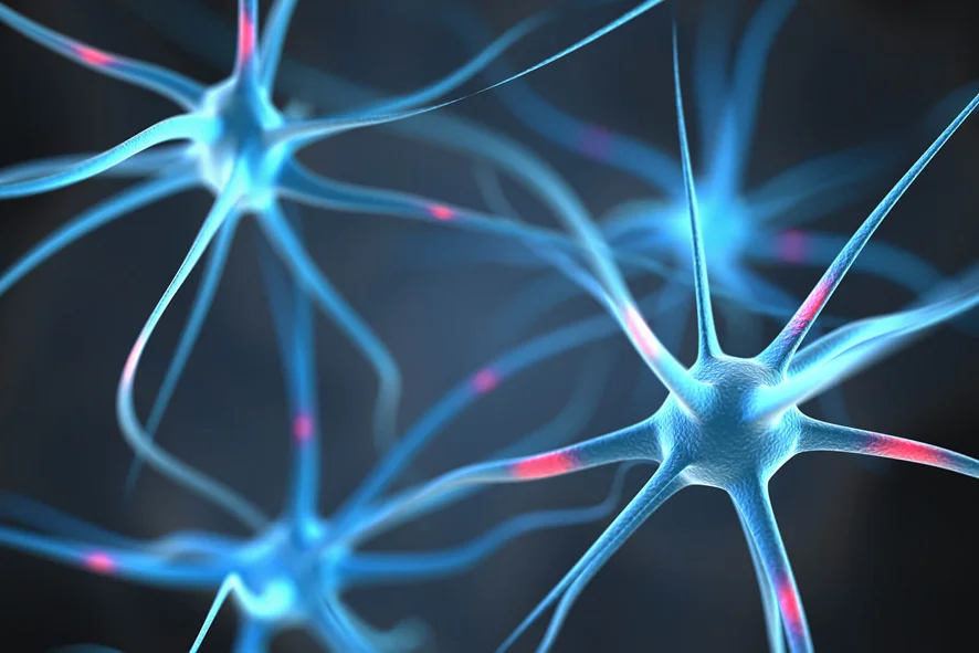 Ibogaine Treatment for Opioid Addiction