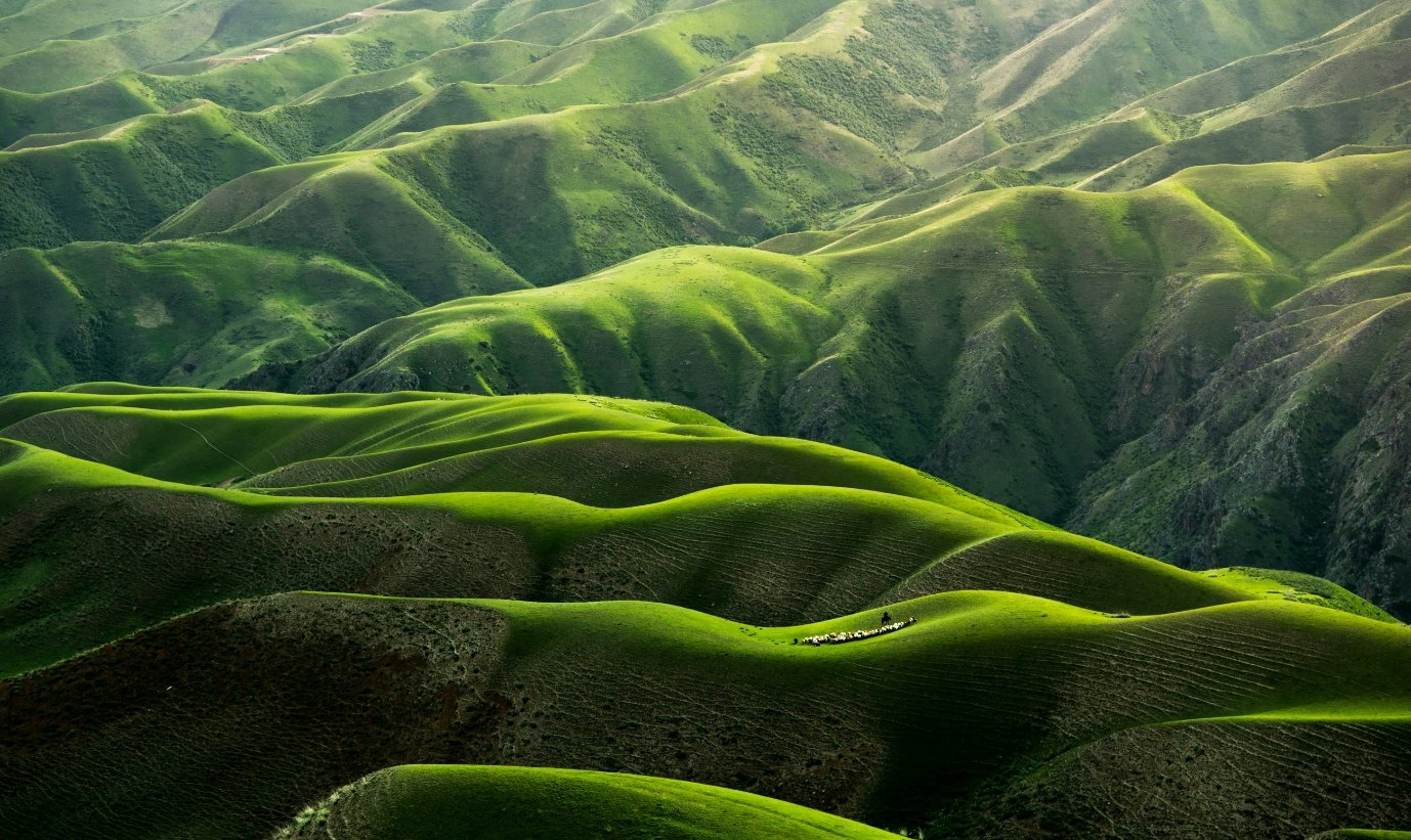 Grounding and Connecting with Nature After Ibogaine Therapy